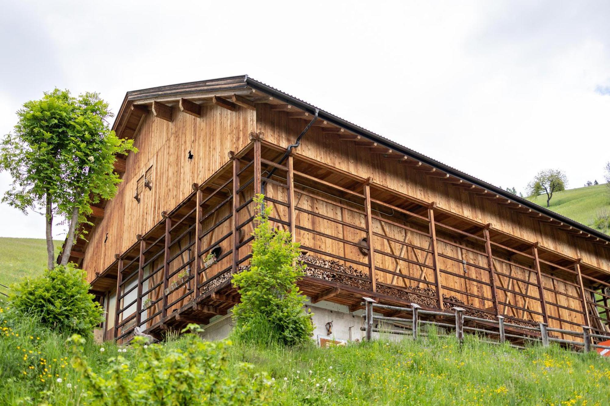 Bolser App Piz Da Peres San Vigilio Di Marebbe Rom bilde
